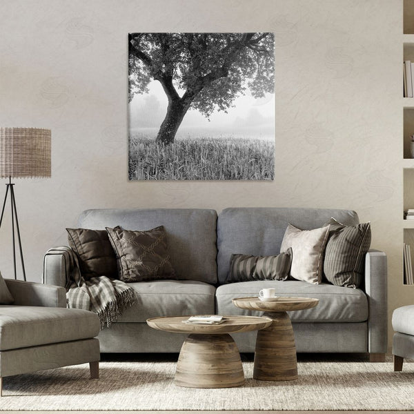 Stupell Industries Chip Forelli | Tuscan Morning Scenery Wall Art