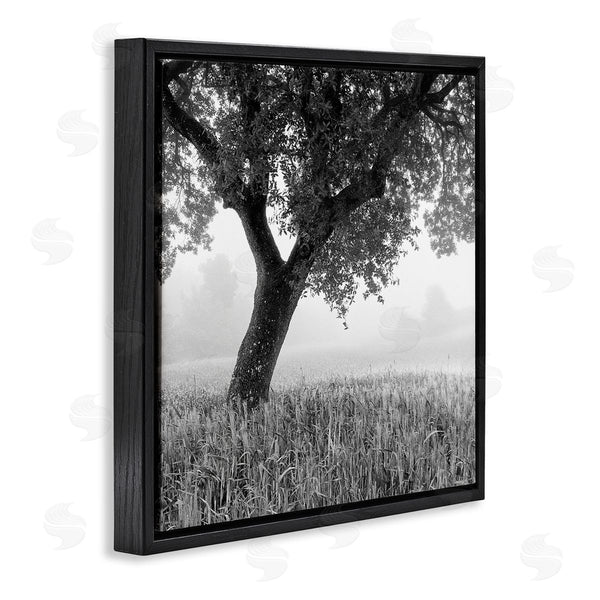 Stupell Industries Chip Forelli | Tuscan Morning Scenery Wall Art