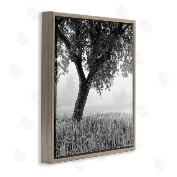 Stupell Industries Chip Forelli | Tuscan Morning Scenery Wall Art