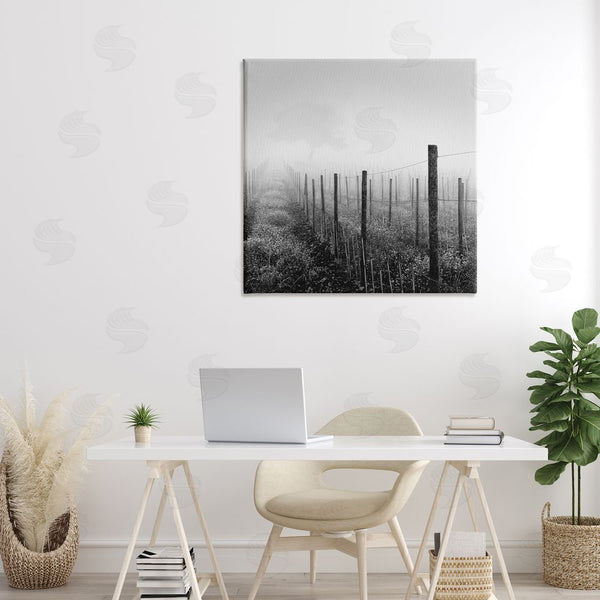 Stupell Industries Chip Forelli | Vineyard At Dawn Wall Art