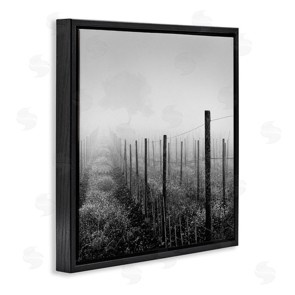 Stupell Industries Chip Forelli | Vineyard At Dawn Wall Art