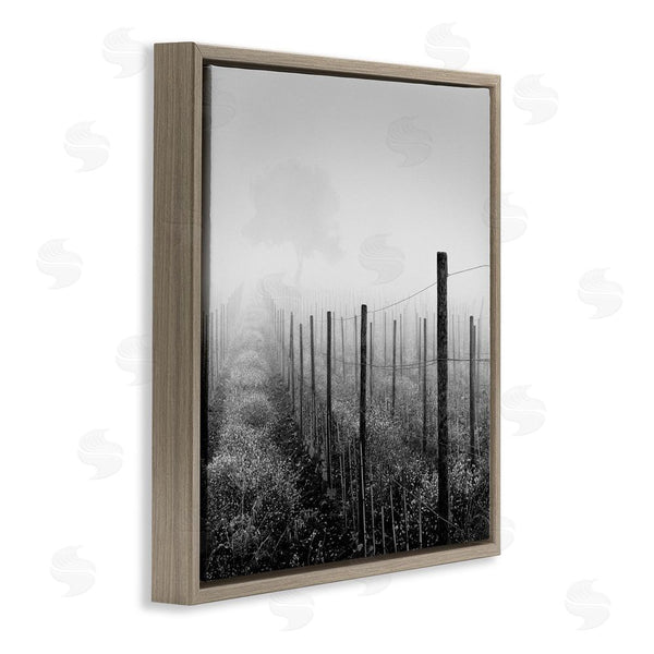 Stupell Industries Chip Forelli | Vineyard At Dawn Wall Art