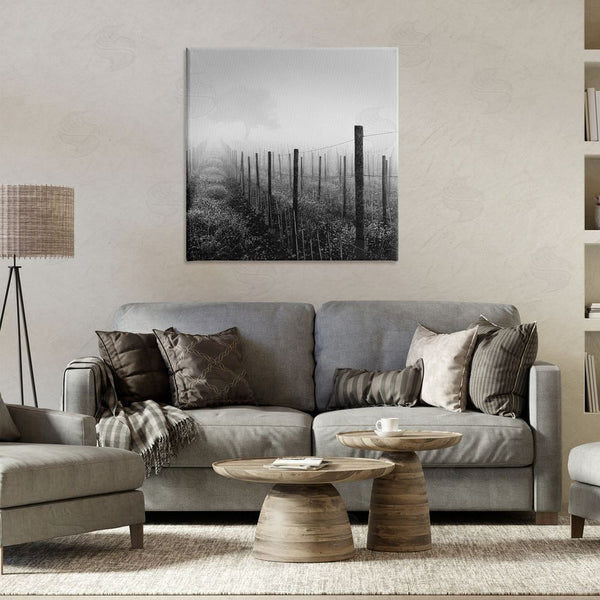 Stupell Industries Chip Forelli | Vineyard At Dawn Wall Art