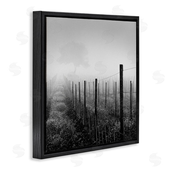 Stupell Industries Chip Forelli | Vineyard At Dawn Wall Art