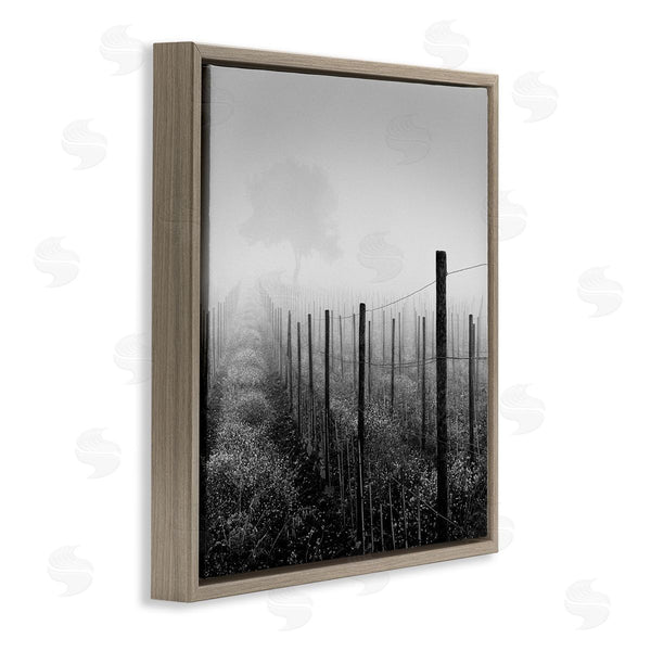 Stupell Industries Chip Forelli | Vineyard At Dawn Wall Art