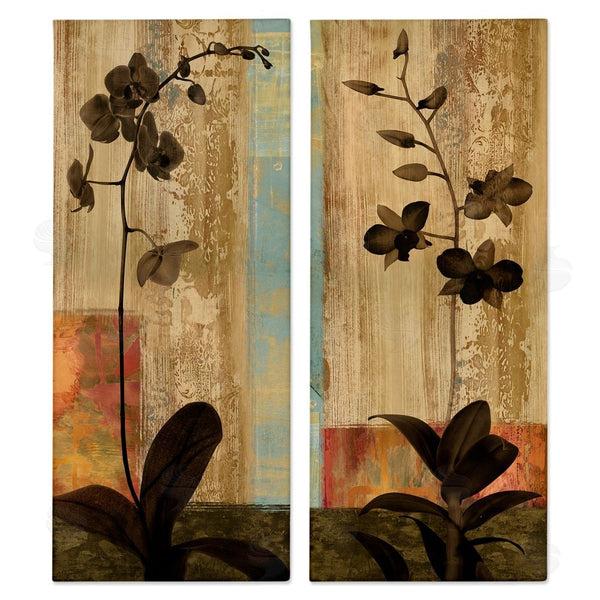 stupell industries Chris Donovan | Modern Boho Orchid Blooming Wall Art