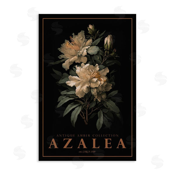 stupell industries Chris Giampietro | Antique Azalea Light