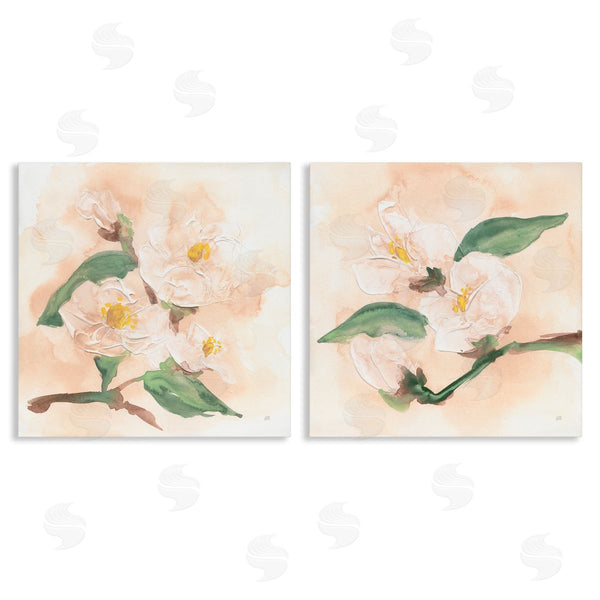 stupell industries Chris Paschke | Faded Dimensional Magnolias