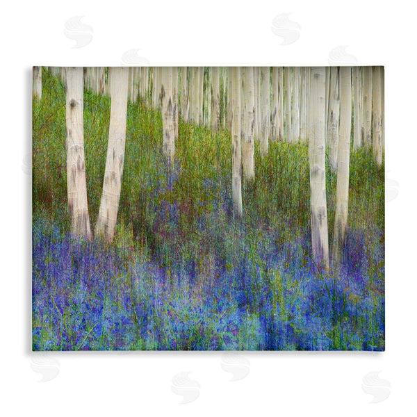 stupell industries Chris Vest | Lavender Field with Birch Trees
