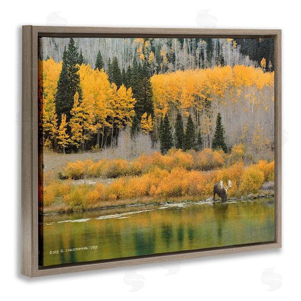 Stupell Industries Chris Vest | Moose At Priest Lake Wall Art