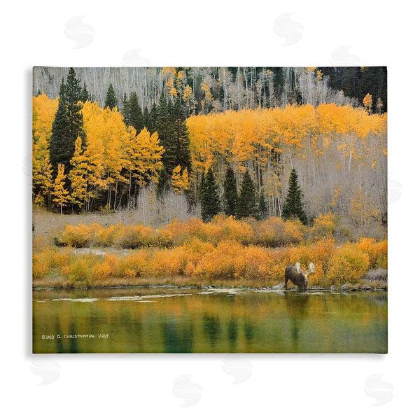 stupell industries Chris Vest | Moose at Priest Lake Wall Art