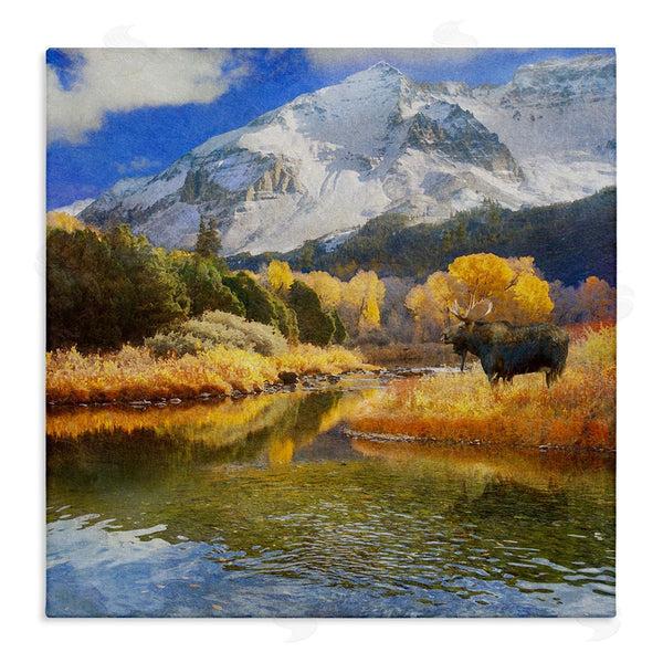 stupell industries Chris Vest | Moose on Dolores River Wall Art