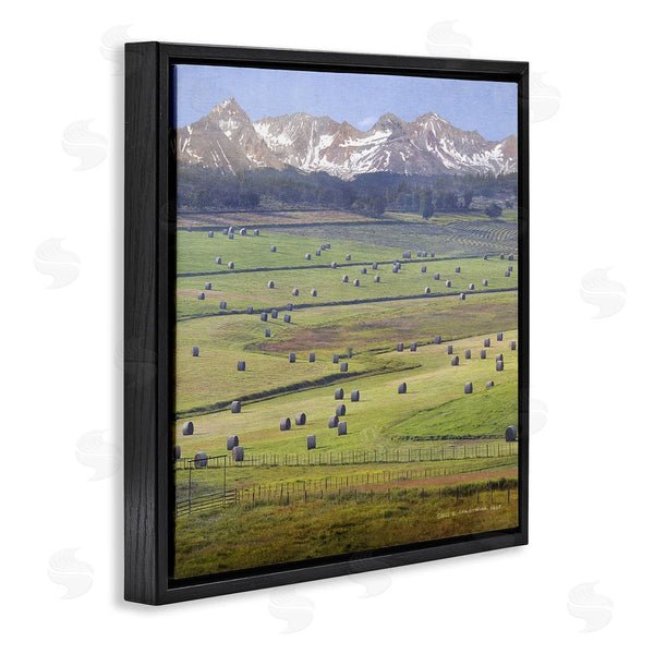 Stupell Industries Chris Vest | Rural Hay Bales Farm Pasture Wall Art