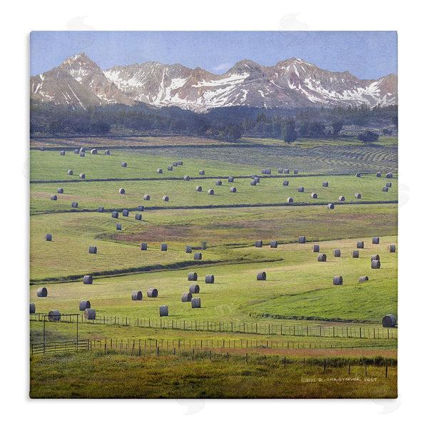 stupell industries Chris Vest | Rural Hay Bales Farm Pasture Wall Art