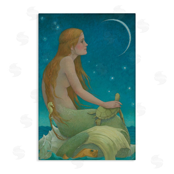 stupell industries Christina P. Wyatt | New Moon Mermaid Portrait