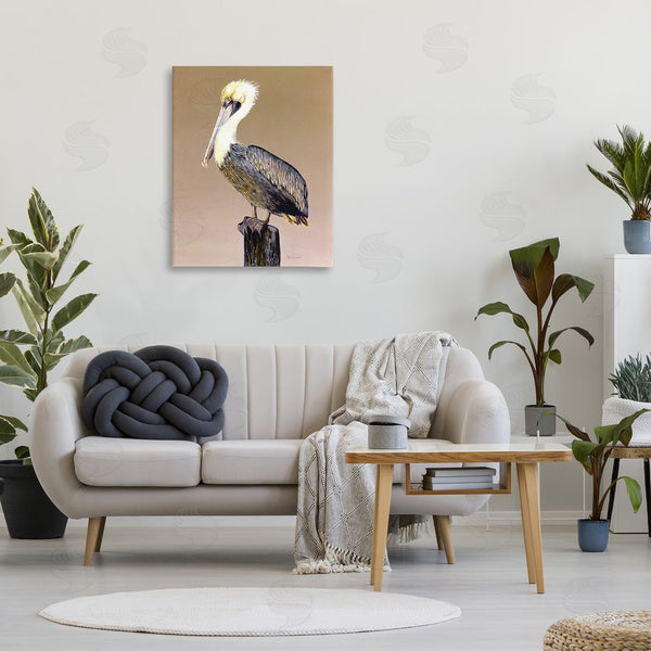Stupell Industries Christine Reichow | Pelican On Perch Wall Art