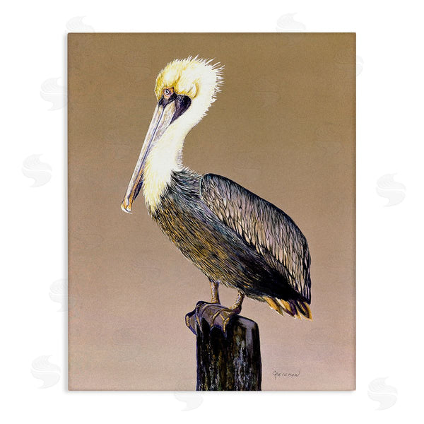 stupell industries Christine Reichow | Pelican on Perch Wall Art