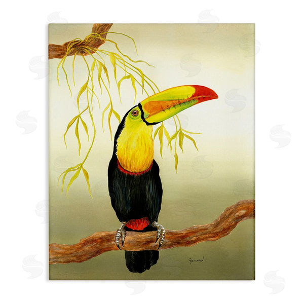 stupell industries Christine Reichow | Toucan on Forest Branch Wall Art