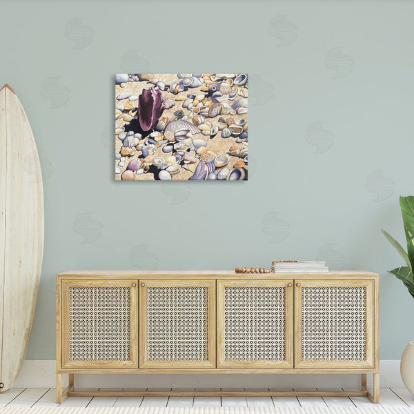 Stupell Industries Christine Reichow | Various Seashells On Coast Wall Art