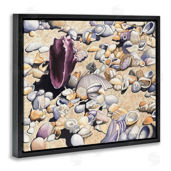 Stupell Industries Christine Reichow | Various Seashells On Coast Wall Art