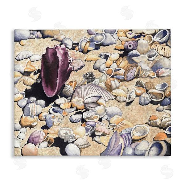 stupell industries Christine Reichow | Various Seashells on Coast Wall Art