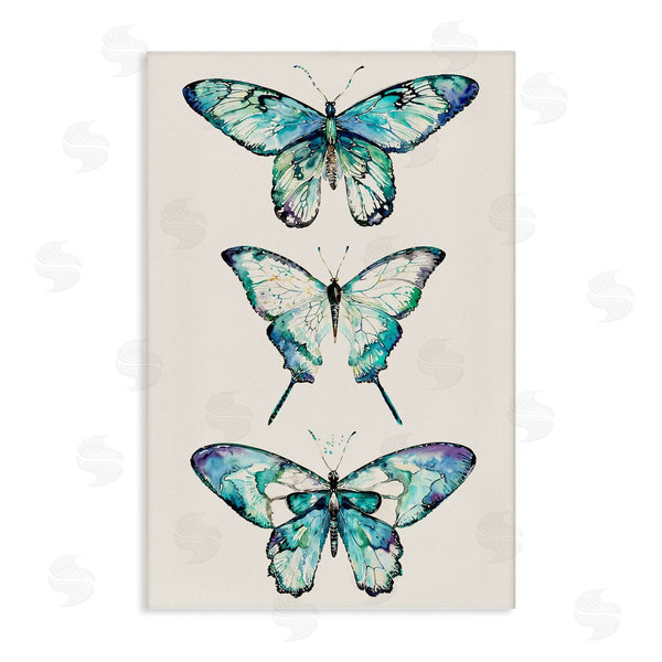 stupell industries Christine Zalewski | Classic Butterfly Specimens