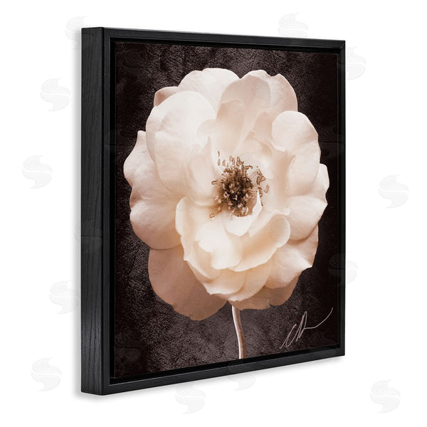 Stupell Industries Christine Zalewski | Pink Flower Photography