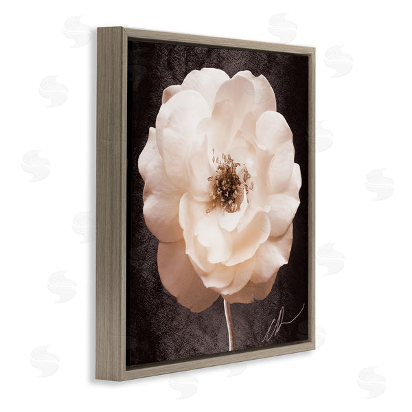 Stupell Industries Christine Zalewski | Pink Flower Photography