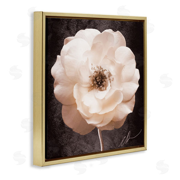 Stupell Industries Christine Zalewski | Pink Flower Photography