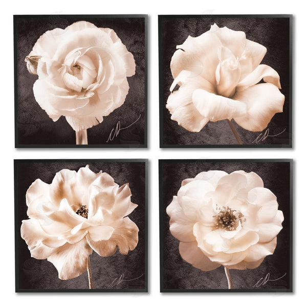 Stupell Industries Christine Zalewski | Pink Vintage Flowers Wall Art