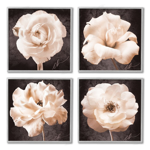 Stupell Industries Christine Zalewski | Pink Vintage Flowers Wall Art