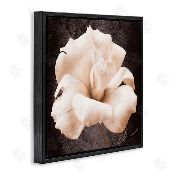 Stupell Industries Christine Zalewski | Rose Petal Photography