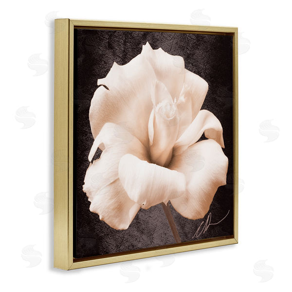 Stupell Industries Christine Zalewski | Rose Petal Photography