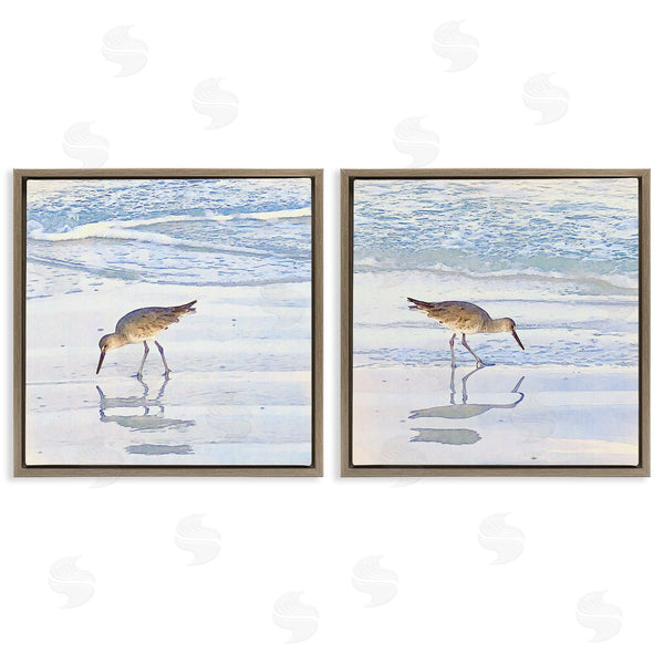 Stupell Industries Christine Zalewski | Seaside Sandpiper Birds