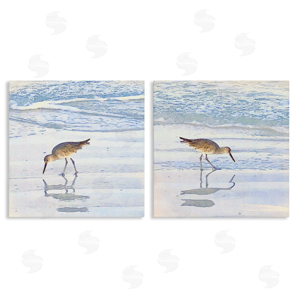 stupell industries Christine Zalewski | Seaside Sandpiper Birds