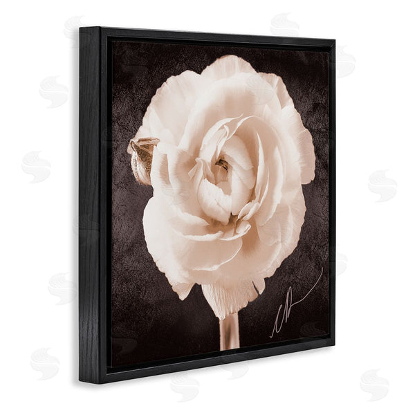 Stupell Industries Christine Zalewski | Vintage Rose Bloom