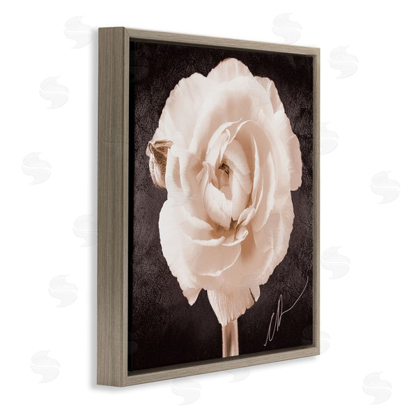 Stupell Industries Christine Zalewski | Vintage Rose Bloom