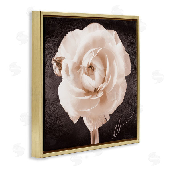 Stupell Industries Christine Zalewski | Vintage Rose Bloom