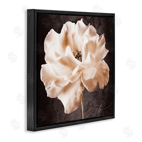 Stupell Industries Christine Zalewski | Vintage Rose Photography