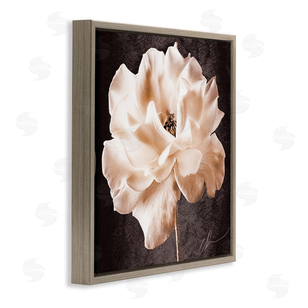 Stupell Industries Christine Zalewski | Vintage Rose Photography
