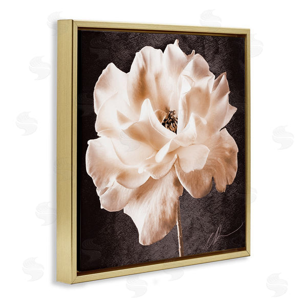 Stupell Industries Christine Zalewski | Vintage Rose Photography