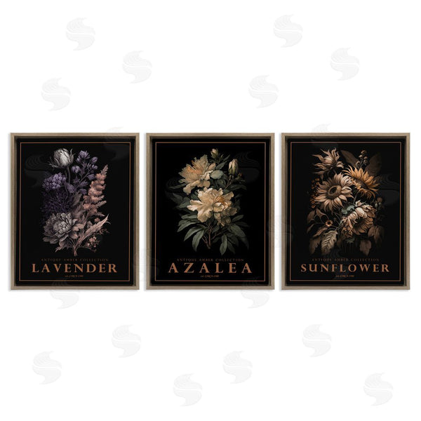 Stupell Industries Christopher Giampietro | Antique Botanical Herb Bushels Wall Art