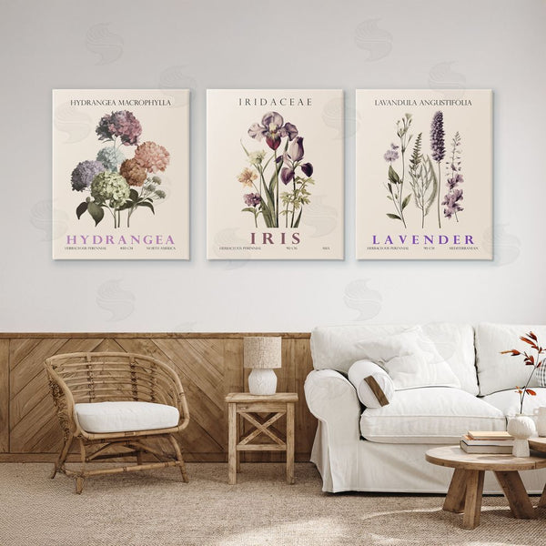 Stupell Industries Christopher Giampietro | Botanical Bundles & Sprigs Wall Art