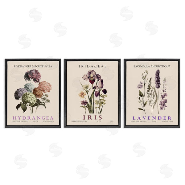 Stupell Industries Christopher Giampietro | Botanical Bundles & Sprigs Wall Art