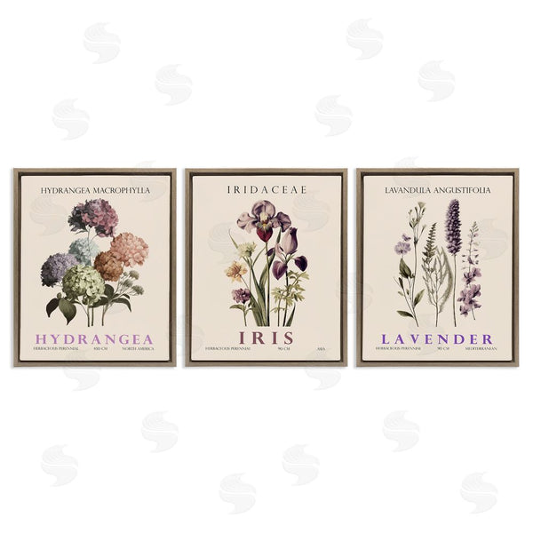 Stupell Industries Christopher Giampietro | Botanical Bundles & Sprigs Wall Art