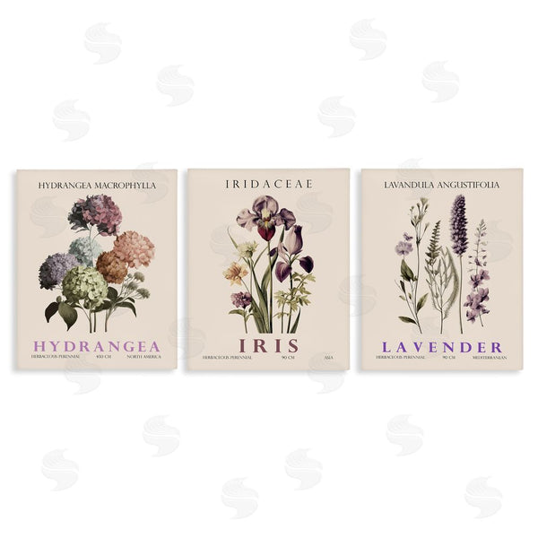 stupell industries Christopher Giampietro | Botanical Bundles & Sprigs Wall Art