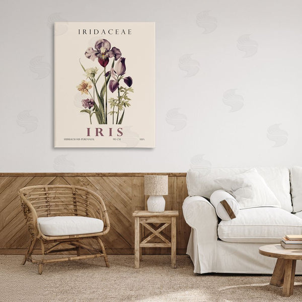 Stupell Industries Christopher Giampietro | Natural Iris Bundle