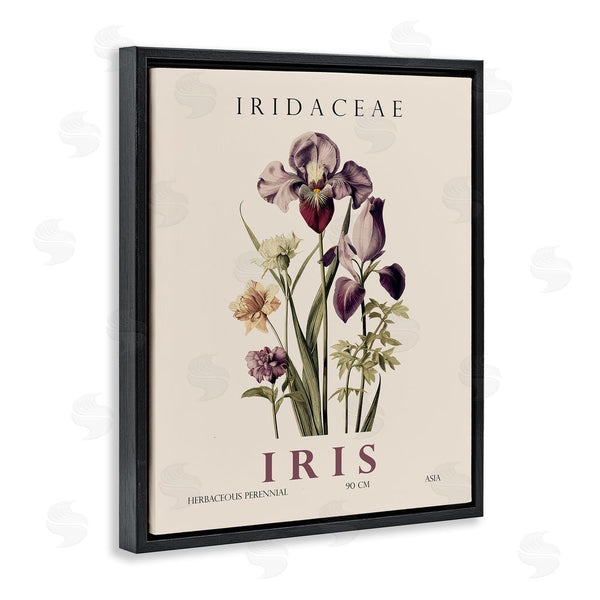 Stupell Industries Christopher Giampietro | Natural Iris Bundle