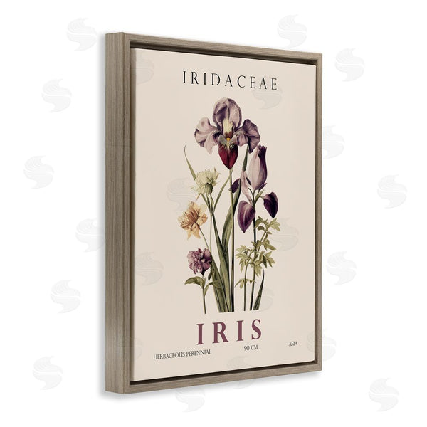 Stupell Industries Christopher Giampietro | Natural Iris Bundle