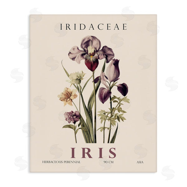 stupell industries Christopher Giampietro | Natural Iris Bundle